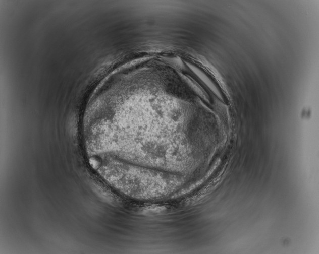 X0000099530257200806061438