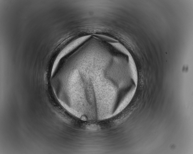 X0000099530258200806061438