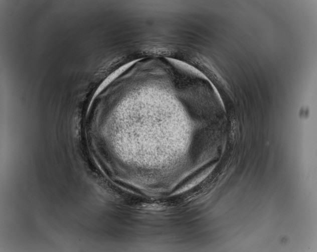 X0000099530259200806061438