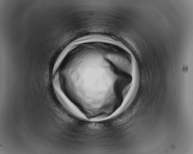 X0000099530261200806061438