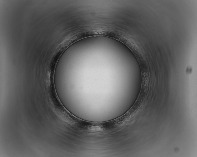 X0000099530262200806061438