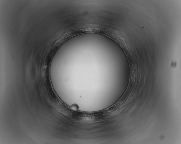 X0000099530263200806061438