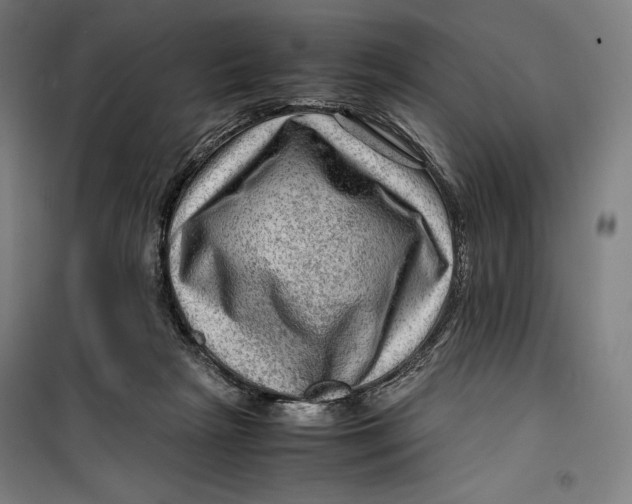 X0000099530265200806061438