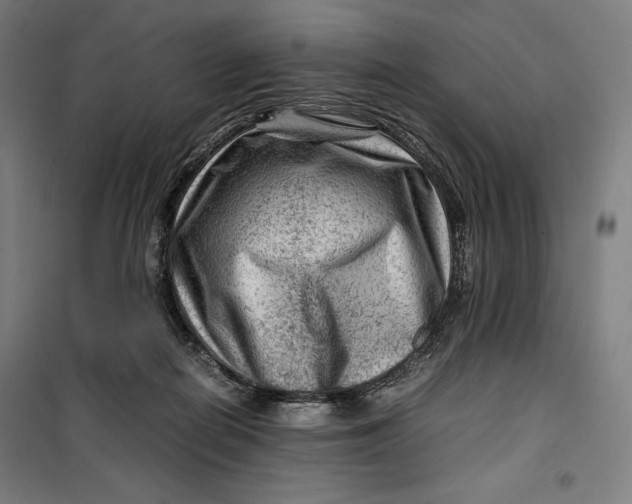 X0000099530266200806061438