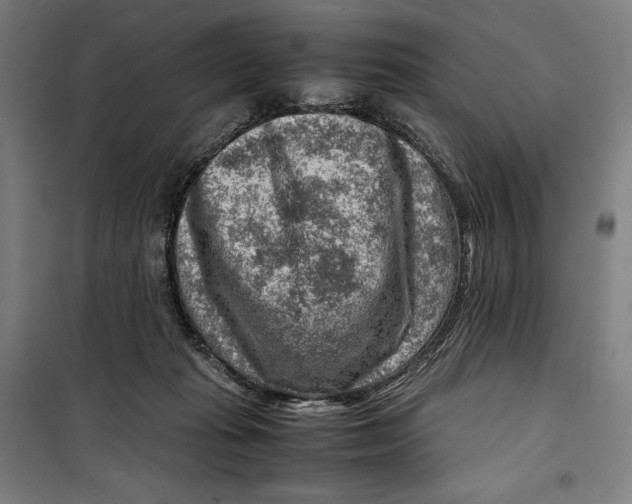 X0000099530269200806061438