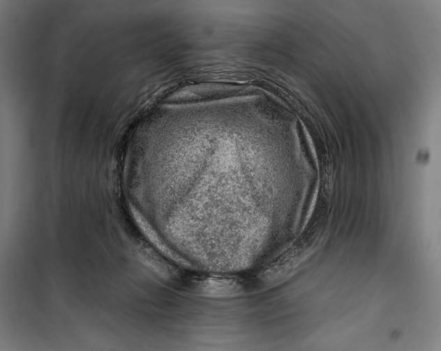 X0000099530270200806061438