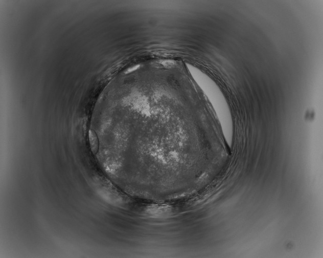 X0000099530271200806061438