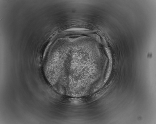 X0000099530273200806061438