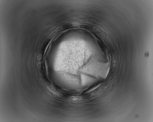 X0000099530275200806061438