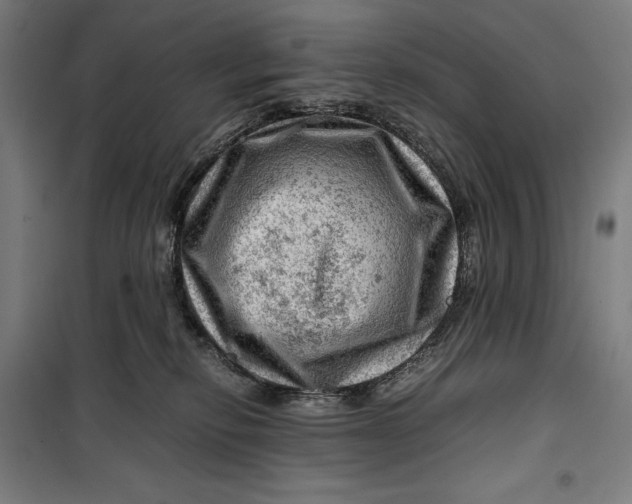 X0000099530278200806061438