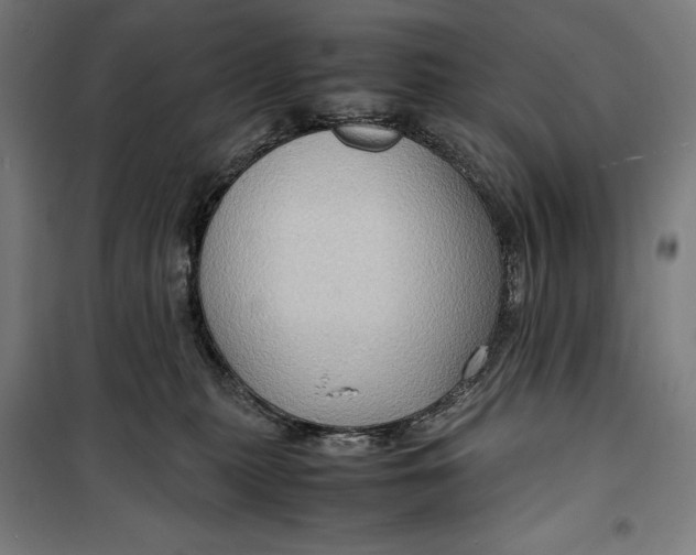 X0000099530279200806061438