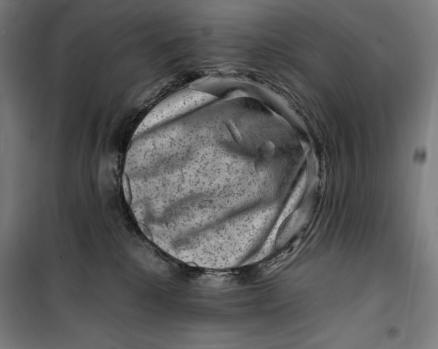 X0000099530280200806061438