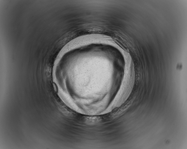 X0000099530281200806061438