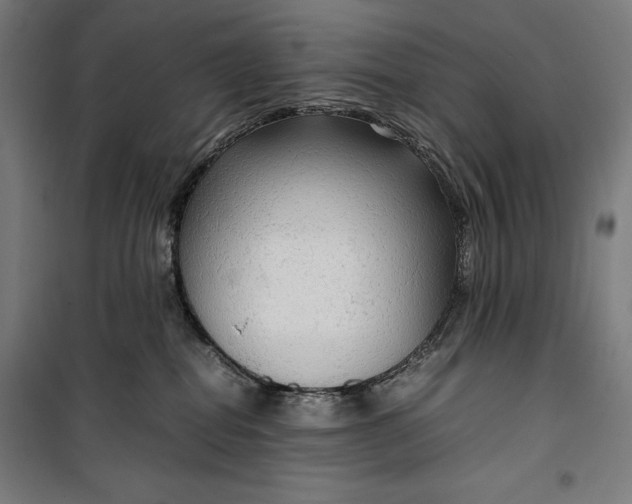 X0000099530282200806061438