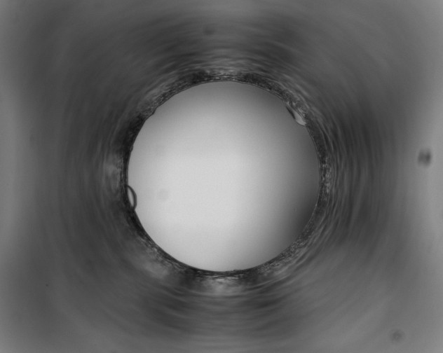 X0000099530283200806061439