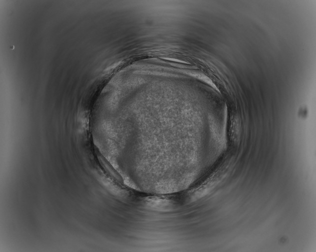 X0000099530284200806061439