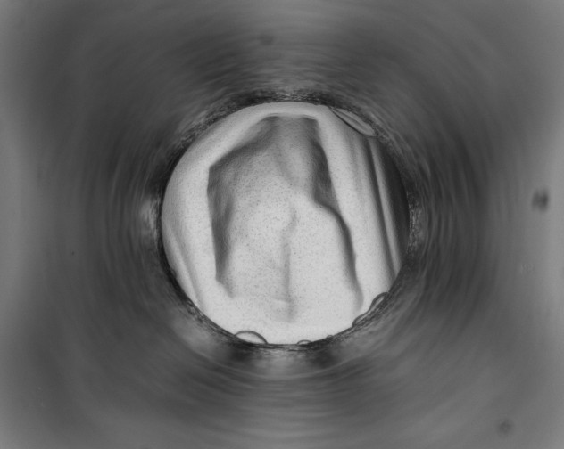 X0000099530286200806061439