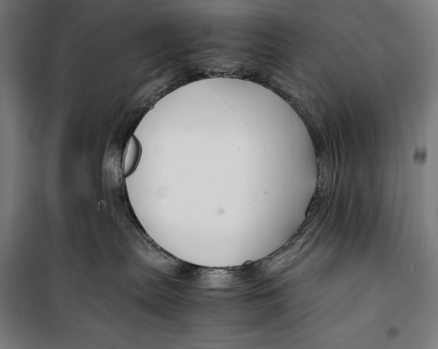 X0000099530287200806061439