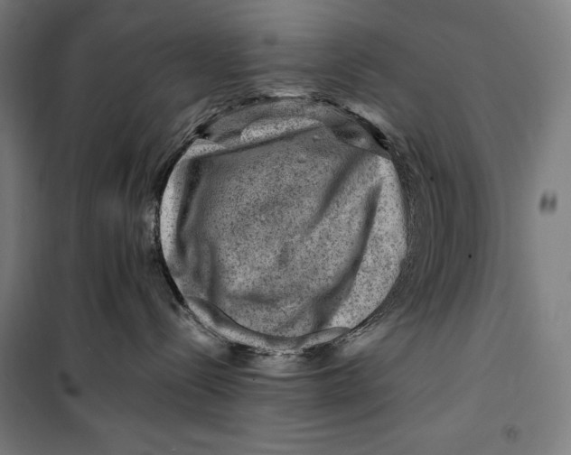 X0000099530288200806061439