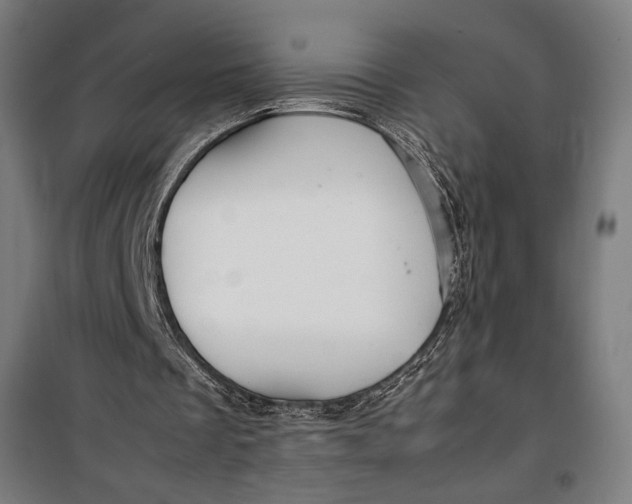 X0000099530289200806061438