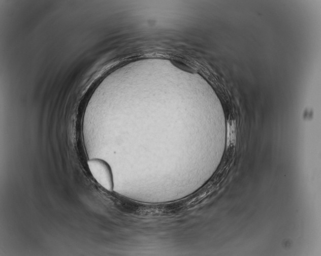 X0000099530291200806061438