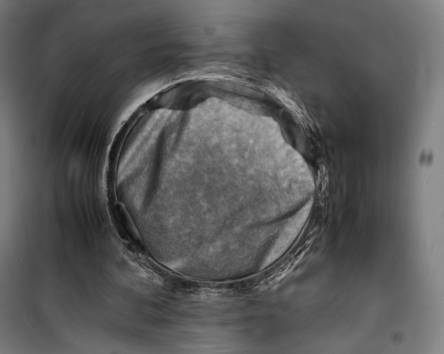 X0000099530292200806061438