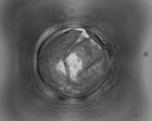 X0000099530293200806061438