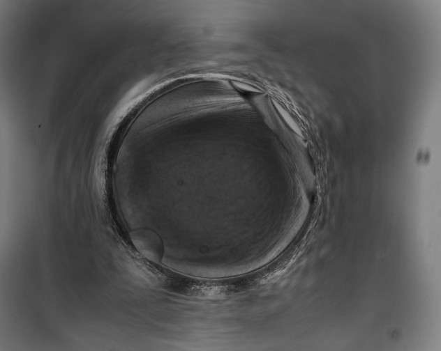 X0000099530295200806061438