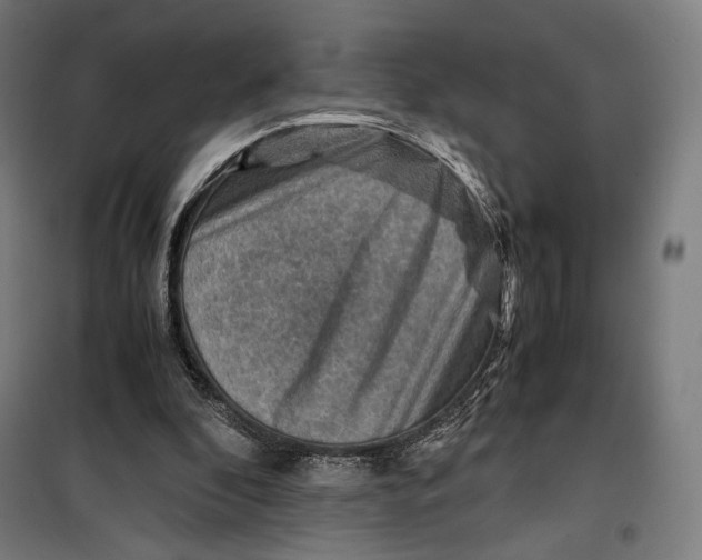 X0000099530296200806061438