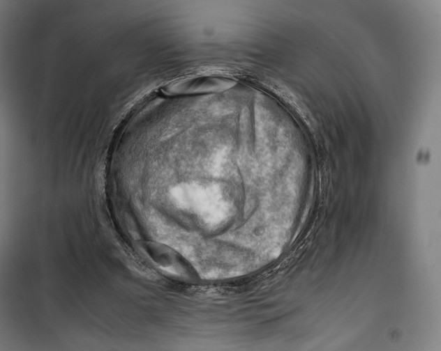 X0000099530297200806061438