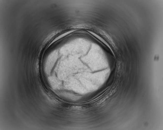 X0000099530298200806061438