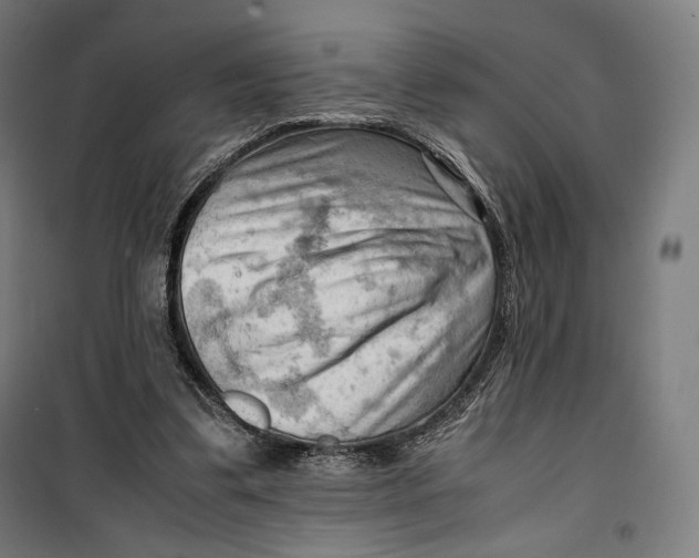 X0000099530299200806061438