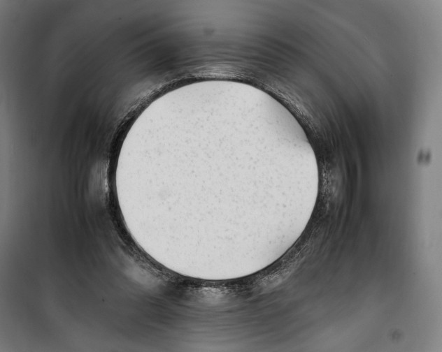 X0000099530302200806061438