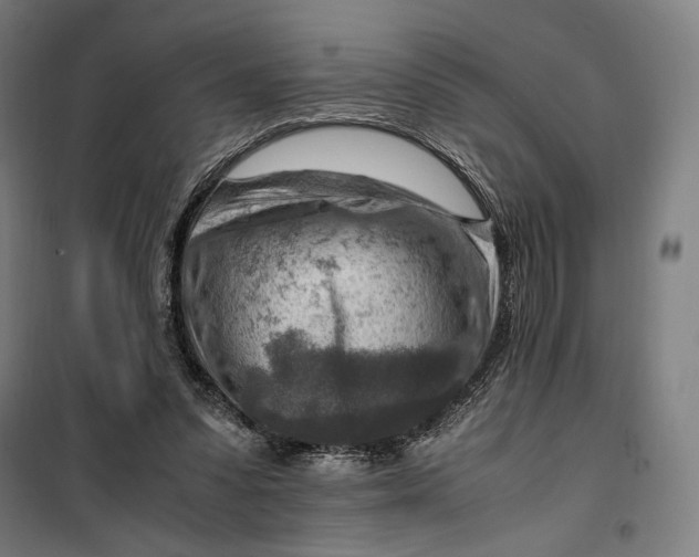 X0000099530303200806061438