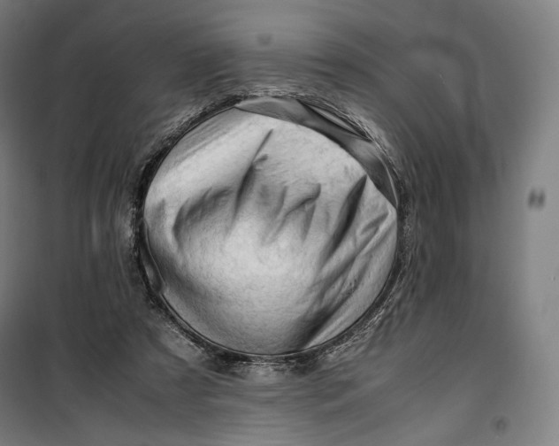 X0000099530305200806061438