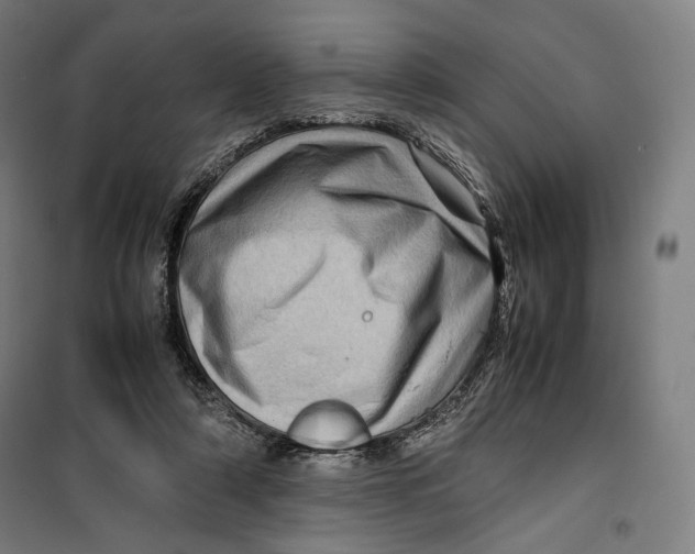 X0000099530306200806061438