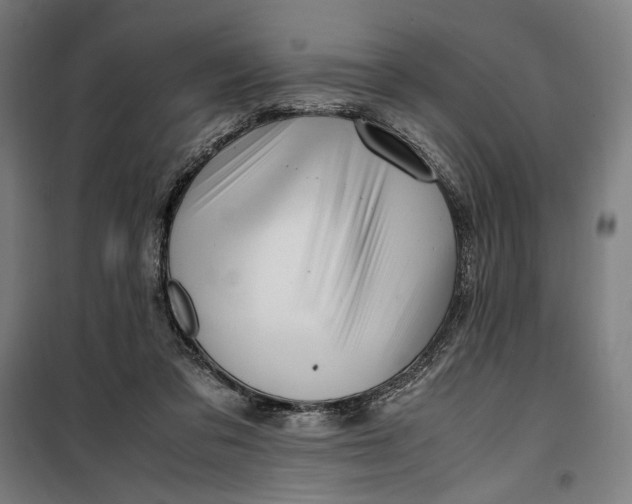 X0000099530309200806061438