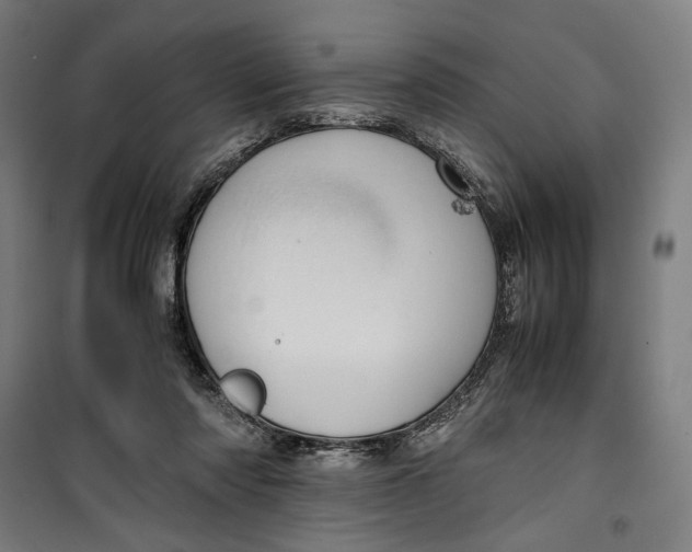 X0000099530310200806061438