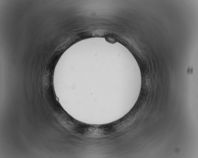 X0000099530311200806061438