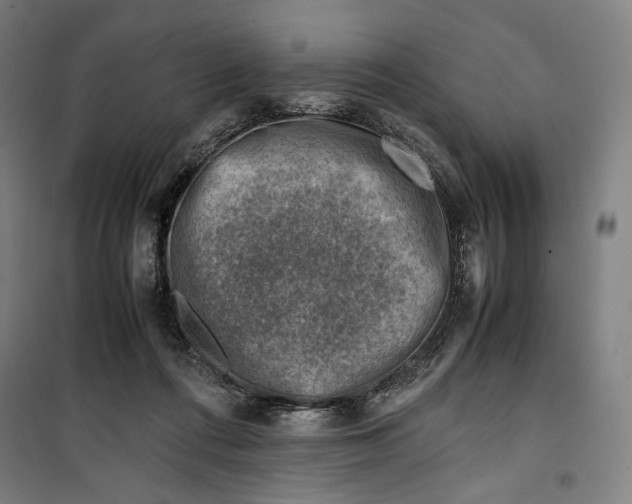 X0000099530312200806061438