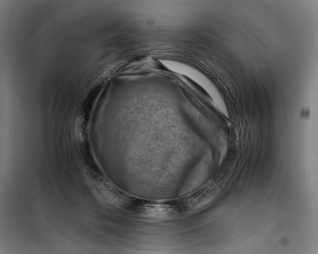 X0000099530316200806061437