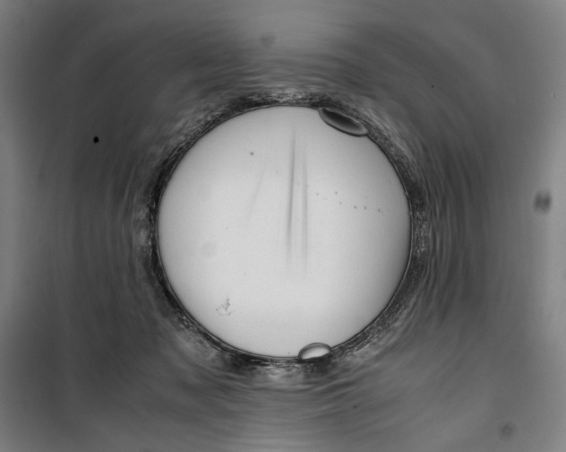 X0000099530317200806061437