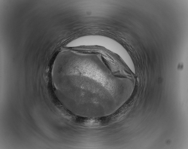 X0000099530319200806061437