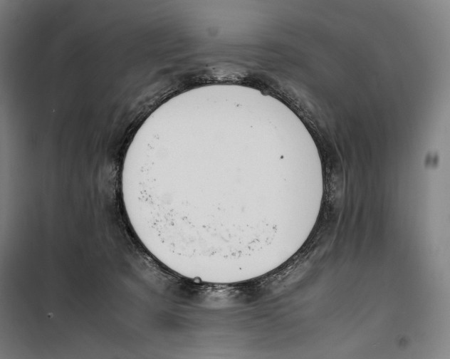 X0000099530321200806061437