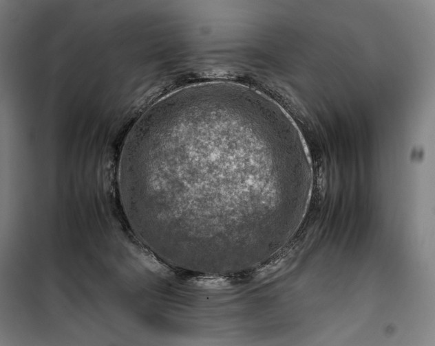 X0000099530322200806061437