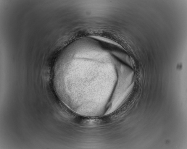 X0000099530323200806061437