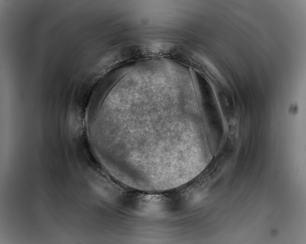 X0000099530324200806061437