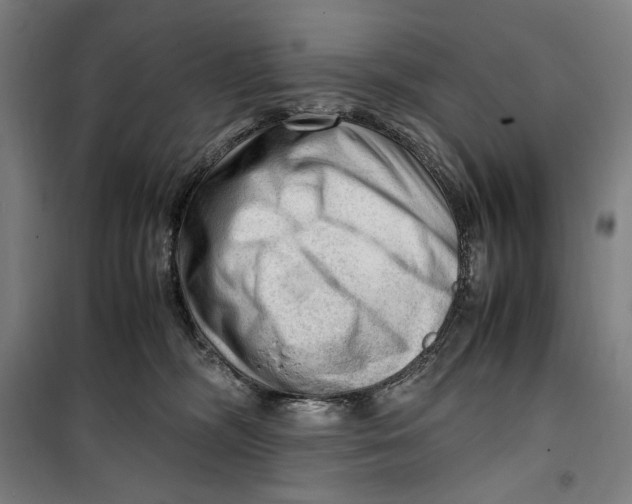 X0000099530326200806061437