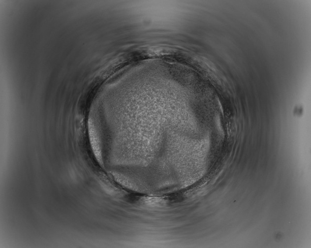 X0000099530327200806061437