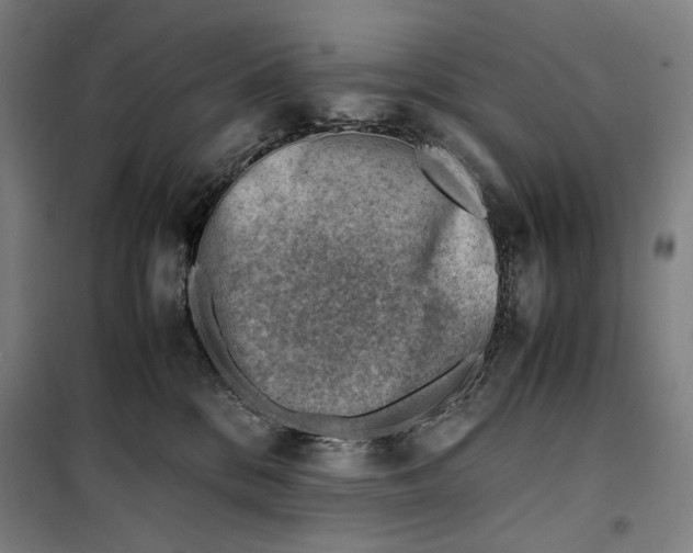 X0000099530328200806061437